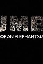 Jumbo: The Life of an Elephant Superstar (2018)