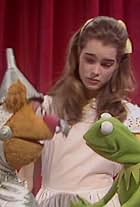 Brooke Shields in The Muppet Show (1976)