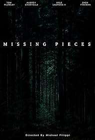 Missing Pieces (2020)