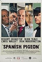 Spanish Pigeon