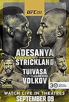 UFC 293