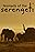 Nomads of the Serengeti