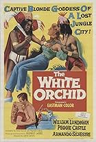 The White Orchid