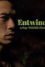 Entwine (2012)