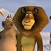 Jada Pinkett Smith, Chris Rock, David Schwimmer, and Ben Stiller in Madagascar: Escape 2 Africa (2008)