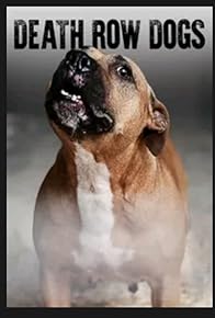 Primary photo for Death Row Dogs