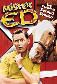 Primary photo for Mister Ed