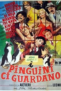 Primary photo for I pinguini ci guardano