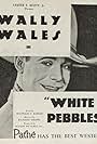 Hal Taliaferro in White Pebbles (1927)