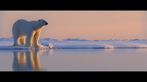 Tells the story of a new mother whose memories of her own youth prepare her to navigate motherhood in the increasingly challenging world that polar bears face today.