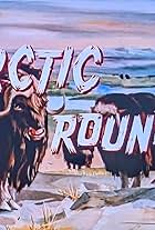 Arctic Roundup