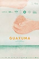 Guaxuma