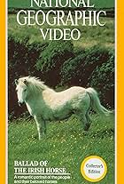 Ballad of the Irish Horse (1985)