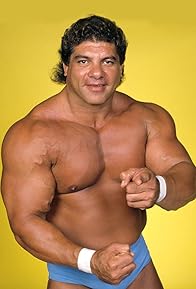 Primary photo for Don Muraco