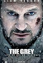 Liam Neeson in The Grey (2011)