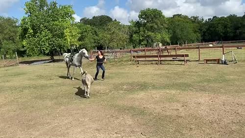 Horsemanship Reel