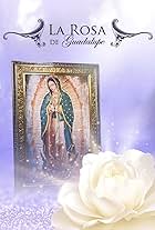 La rosa de Guadalupe