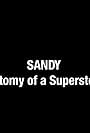 Sandy: Anatomy of a Superstorm (2012)