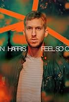 Calvin Harris in Calvin Harris: Feel So Close (2011)