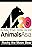 Rocky (The Legacy) Rick Wakeman and Animals Asia