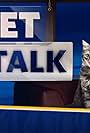 Pet Talk (2016)