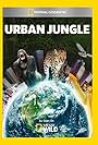 Urban Jungle (2014)