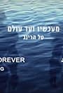Now and Forever (2012)