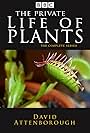 The Private Life of Plants (1995)