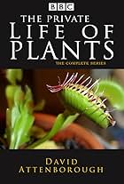 The Private Life of Plants