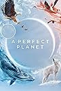 A Perfect Planet (2021)