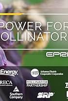 Power for Pollinators (2020)