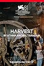 Harvest (2024)