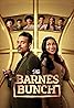 The Barnes Bunch (TV Series 2024– ) Poster