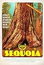 Sequoia (2014)