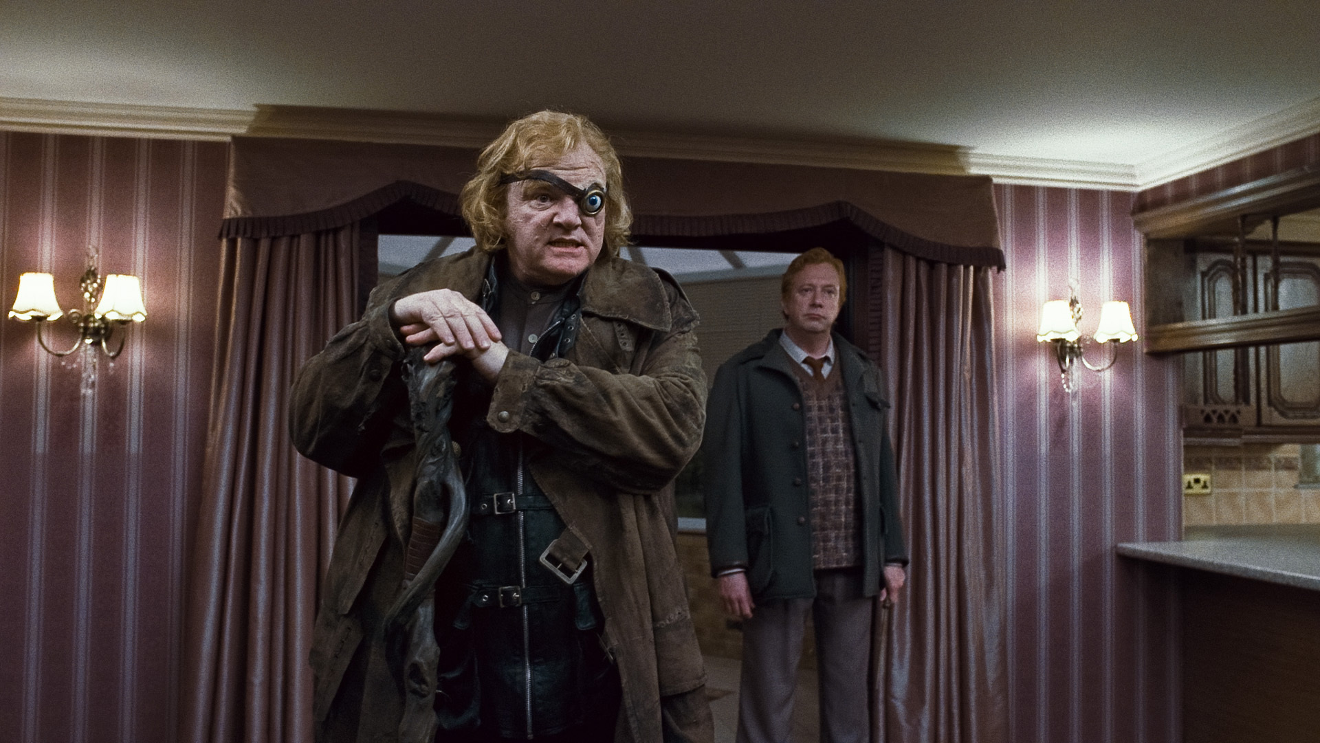 Brendan Gleeson and Mark Williams in Harry Potter and the Deathly Hallows: Part 1 (2010)