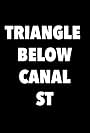 Triangle Below Canal Street (2019)