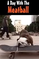 A Day with the Meatball