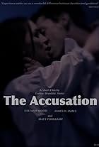 The Accusation (2015)