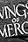 Wings of Mercy