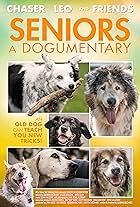 Seniors, a dogumentary