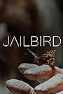 Jailbird (2020)