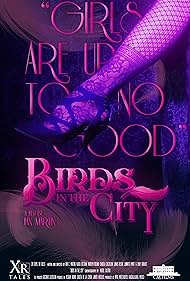 Birds in the City (2018)