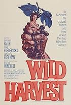 Wild Harvest