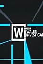 BBC Wales Investigates (2017)