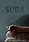 Suda