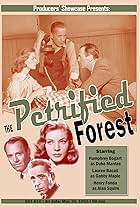 The Petrified Forest