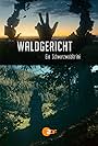 Waldgericht - ein Schwarzwaldkrimi (2021)