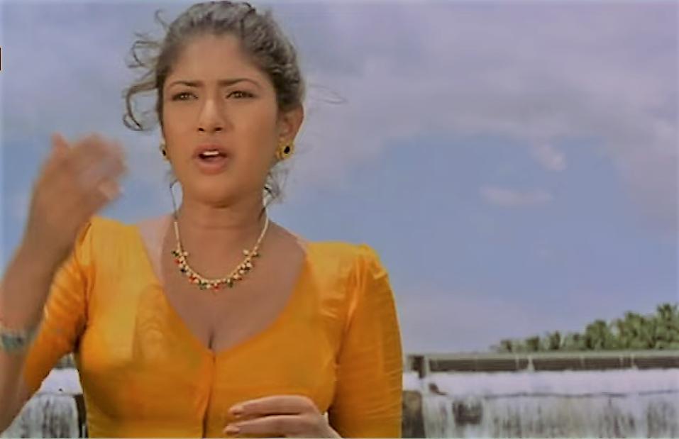 Sanghavi in Nattamai (1994)