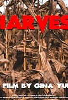 The Harvesters