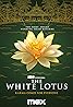 The White Lotus (TV Series 2021–2025) Poster